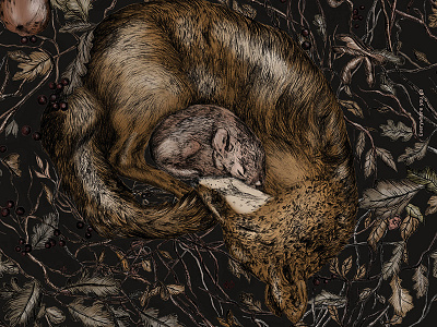 Fox & mouse | pencil illustration animals art autumn details fauna fineart flora forest forestanimals fox fur illustration larabispinck larabispinckillustration leafs mouse nature oak plants sleeping