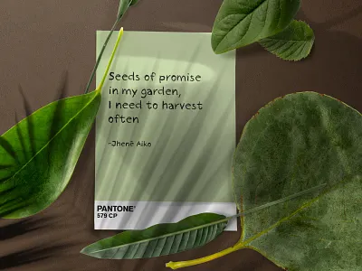 Pantone 579 CP blackhistorymonth blacklivesmatter blm depaulvera design dvart graphicdesign jheneaiko love lyrics music pantone pantonechallenge