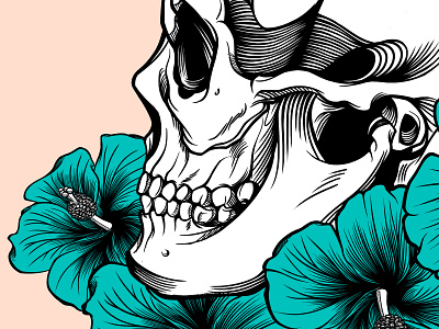 Skull art drawing graphic design illustration skull