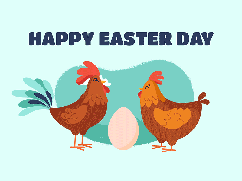 Easter Suprise after effects animation blue bunny character easter easter bunny easter egg easter eggs funny gif hen illustration moho moho12 motion rigging