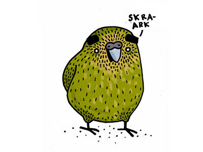 I just love the Kakapo. ♥️ illustration kakapo