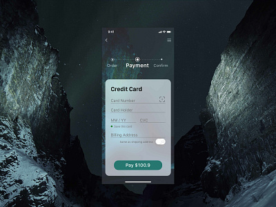 Daily UI 002 Credit Card Checkout creditcardcheckout dailyui 002 dailyui100