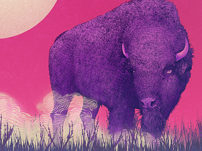 Bison animals bison illustration photoshop