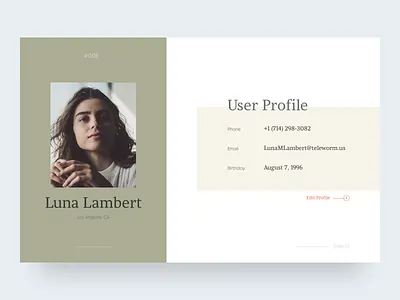 User Profile 006 clean concept daily ui digital design minimal ui ux design user interface user profile web design webdesign