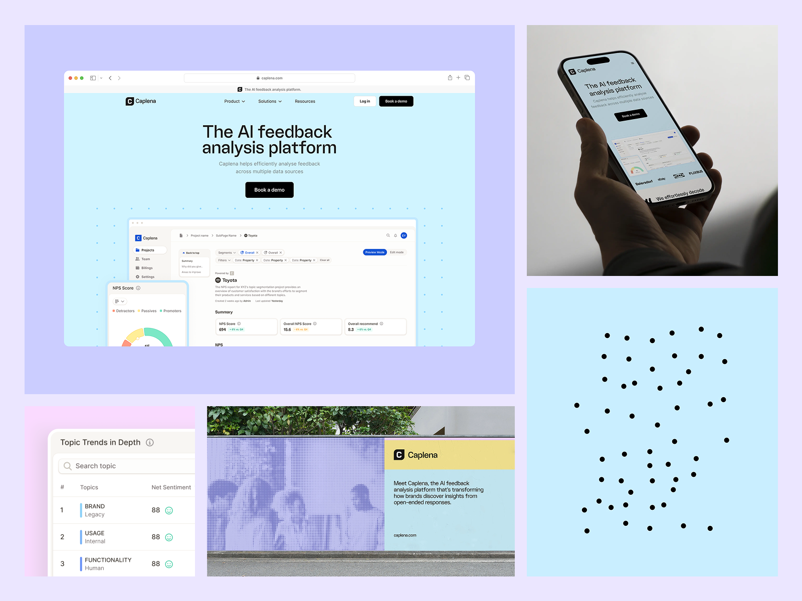 Example of Caplena: web design, branding, animation