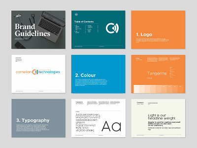 Carnelian Technologies Guidelines branding design guideline logo logo design