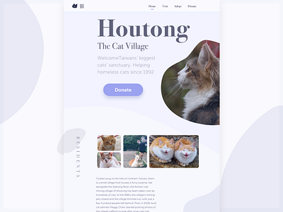 Cat Village V2 cat challenge forfun homepage landing page website website builder