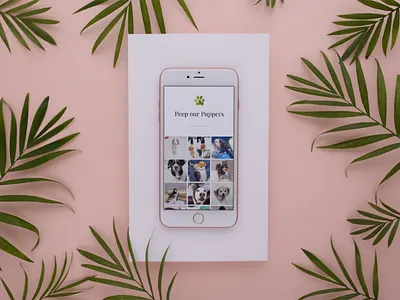 Muttley Crue Mobile App app design iphonex mobile mockup phone ui ux