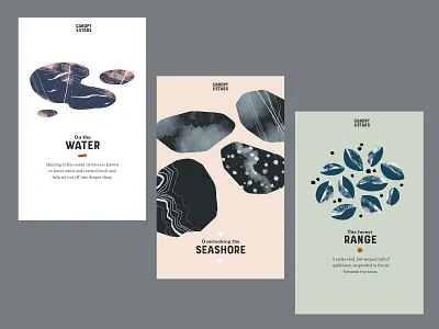 Canopy & Stars : illustration/art direction concepts art direction branding camping illustration mood nature palette visual identity