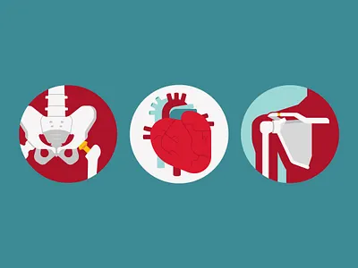 Anatomy Spot Illustrations clavicle health heart hip joint pelvis shoulder shoulder blade vector