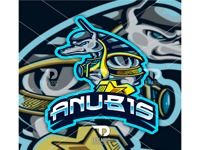 Trifasic Anubis #2 animal custom logo design drawing esport esportlogo esports illustration ilustraciones ilustrator logo mascot design photoshop sport sportlogo vector