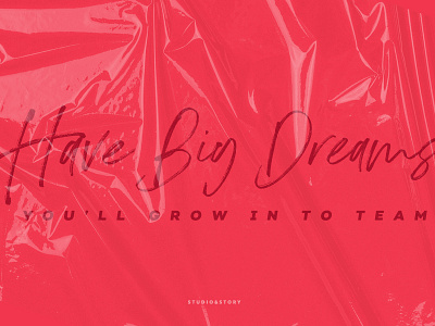 Have Big Dreams bold branding brush creative market dry dry brush fashion handwritten instagram kahlo lettering ligature marker modern quotes swash swashes typography website wedding