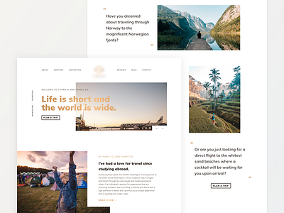 Travel Agency concept travel travel agent uidesign web website