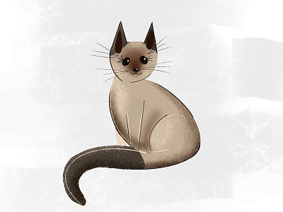 Kitty cat feline ipad pro kitty siamese