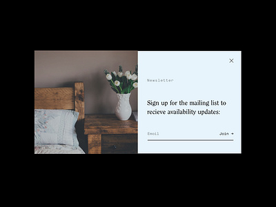 Sign Up clean concept layout minimal newsletter pop up sign up subscription box ui design