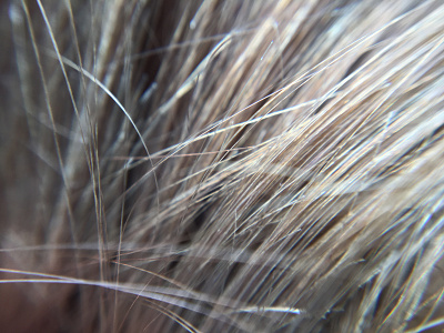 Sunsuality macro pattern photo art