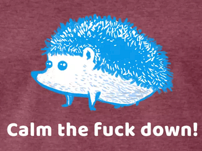 Calm Hedgehog funny tee shirt