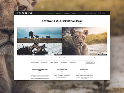 Tour page design tourism travel ui ux web design