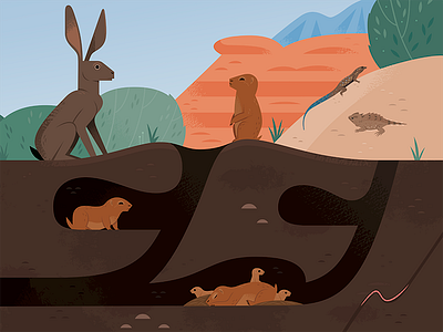 Prairie Dog Burrow animals desert design illustration nature prairie dogs science vector wildlife
