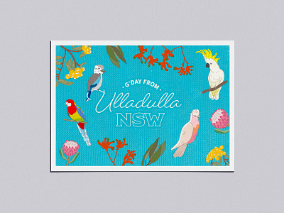Adobe Live Ulladulla Postcard illustration postcard typography ulludulla vector