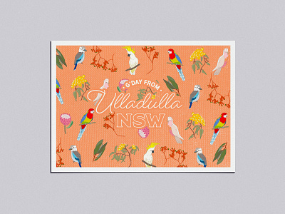 Adobe Live Ulladulla Postcard v2 illustration postcard typography ulludulla vector