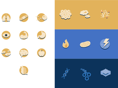 Biology Icons biology body parts heart icon medical presentation vector