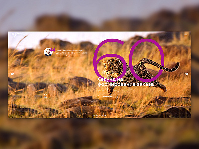 Site FCG slider benefits cheetah page slider speed tilda web