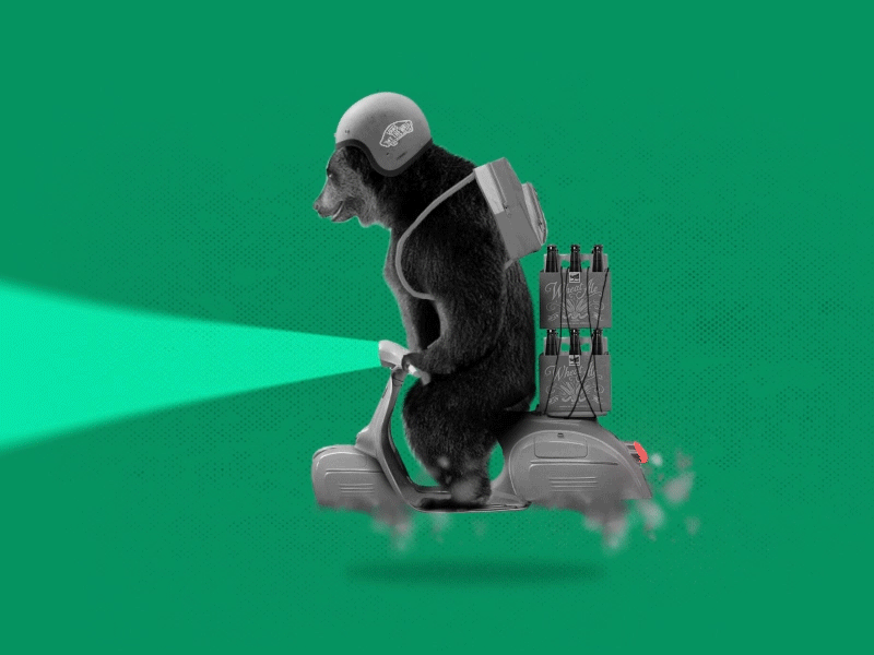 Just a happy bear after effect animation bear beer mograph motion design motion graphics photoshop vans vespa