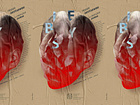 Example of Shot