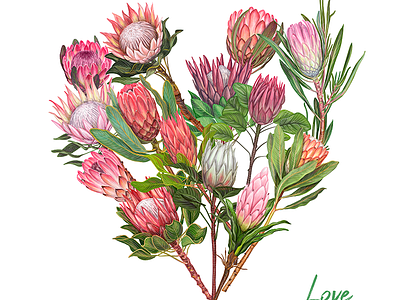 Love blossom blossom botanical illustration chamomile decoration floral flower flower illustration frame illustration natural pink plant protea sketch summer valentine vector wedding wedding app wedding card
