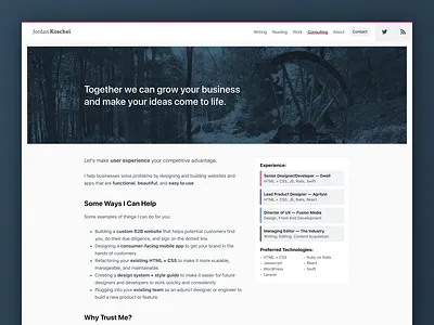 Consulting Page consulting front end development hero personal site website website builder