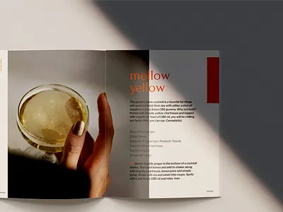 Liquor Lacquer: A cheeky cocktail book book art branding cocktails copywriting design editorial design editorial layout print design typography