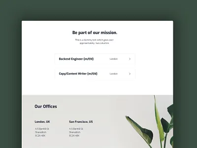 Team Page green landing page palm team website website animation