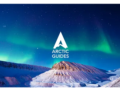 ARCTIC GUIDES brand brand and identity brandideas brandidentity branding colors logo vector