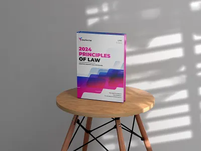 Professional Branding for Legal Services | animation branding graphic design illustration logo motion graphics