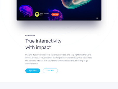 Website UI snippet desktop interactive player typography ui ux video website