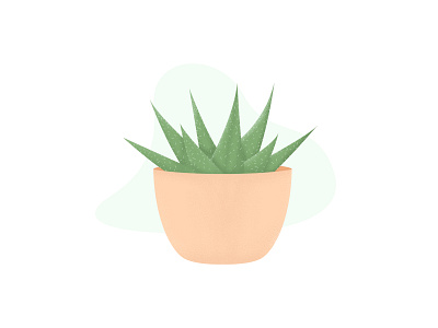 Cactus Illustration grain grains grainy illustration illustrator minimalis minimalism minimalist design noise plant plant illustration shading texture vector