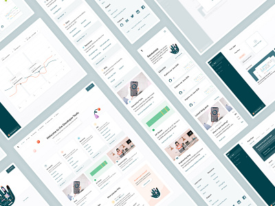 Developer Portal cards case study dashboard statistics ui ux