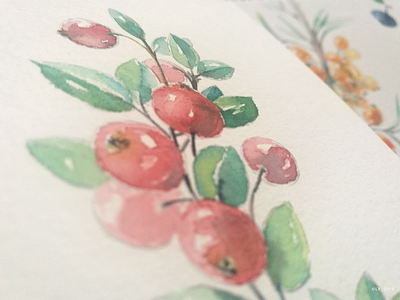 When we do not rush — we start to see cranberries berries drawing graphic hand drawing handmade illustration nature painting red water color