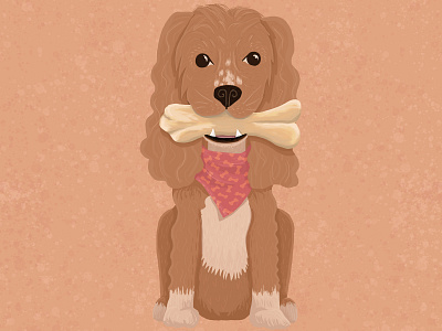 Cocker Spaniel animal animal care charactedesign children art children book illustration design dog illustration pet