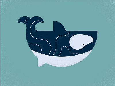 Oh Whale grain illustraor illustration ocean orca pnw sea swiming texture water waves whale