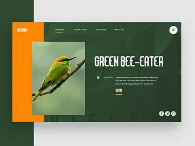 Wildlife UI Concept birds creative design identity modern typeface typography ui uiux ux web website