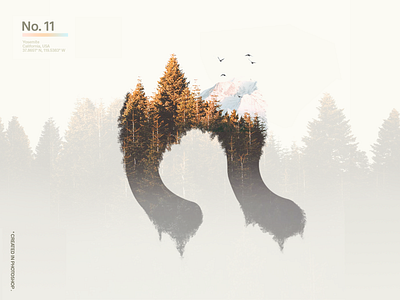 Forest logo adobe photoshop forest logo logo design mountains snow tree