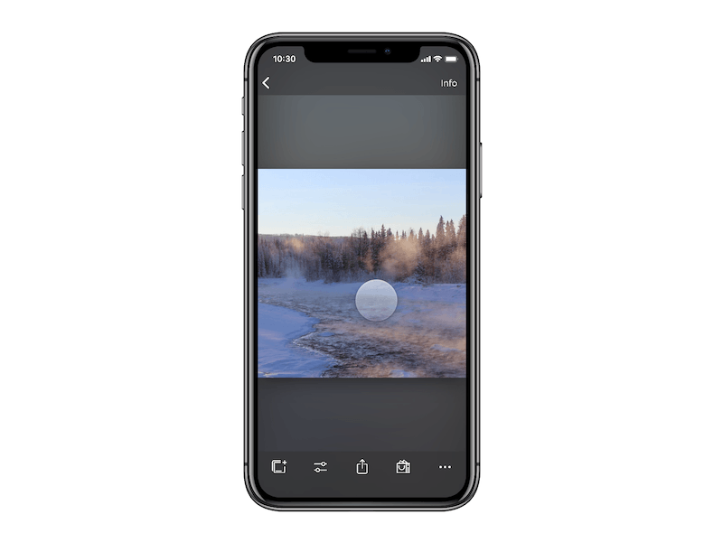 Photo Detail View for Irista iOS app framer ios prototype ui