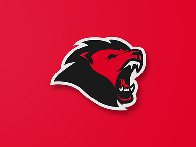 FUTSAKE Mascot Logo brand lion logo mascot mascotlogo