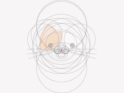 Cat draft draft golden ratio illustration