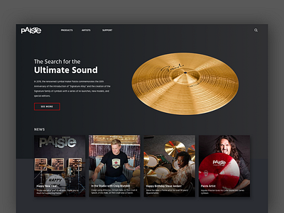 Paiste Cymbals Home Concept [WIP] cymbals drummer drums hero landing landing page music paiste swiss ui web zildjian