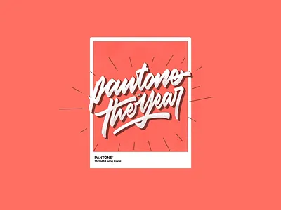 Calligraphy Work #7 calligraphy color design illustration inspiration lettering logo logo branding new type typography