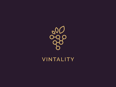 Logo for a Vineyard (wine) & Technology startup branding clean logo clever logo golden logo logo sophisticated wine wine branding wine technology