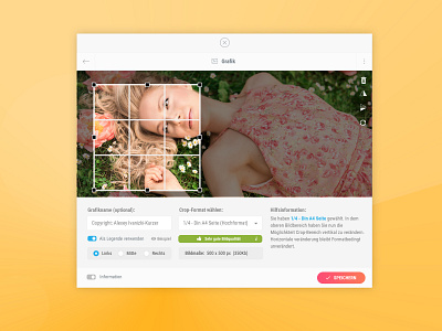 Smart Image Crop Tool for Document Builder cms cms development component crop crop tool cropping document management flat flat design image editing image editor interface design interface design templates interface designer photoedit photoediting ui ui ux design ux designer web